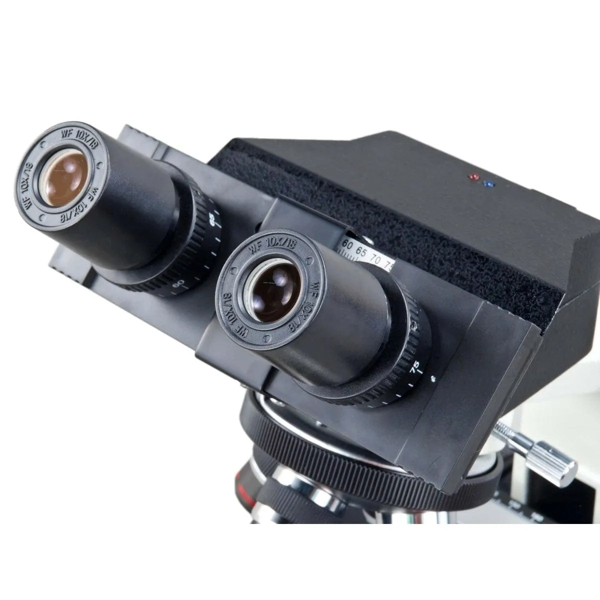 40X-2000X 3MP Digital Integrated Microscope with Halogen Illumination   Koehler Field Lens